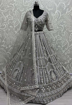 Load image into Gallery viewer, Grey Net Wedding Lehenga Choli
