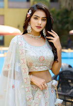 Load image into Gallery viewer, Grey Silk Circular Lehenga Choli
