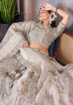 Load image into Gallery viewer, Grey Silk Lehenga Choli
