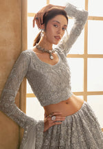 Load image into Gallery viewer, Grey Silk Net Circular Lehenga Choli
