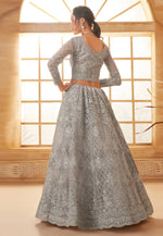 Load image into Gallery viewer, Grey Silk Net Circular Lehenga Choli

