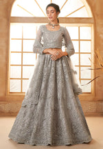 Load image into Gallery viewer, Grey Silk Net Circular Lehenga Choli
