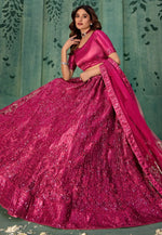 Load image into Gallery viewer, Magenta Net Lehenga Choli
