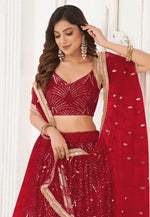 Load image into Gallery viewer, Maroon Net Lehenga Choli
