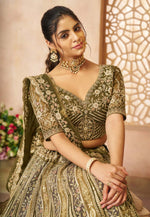 Load image into Gallery viewer, Mehndi Net Circular Lehenga Choli
