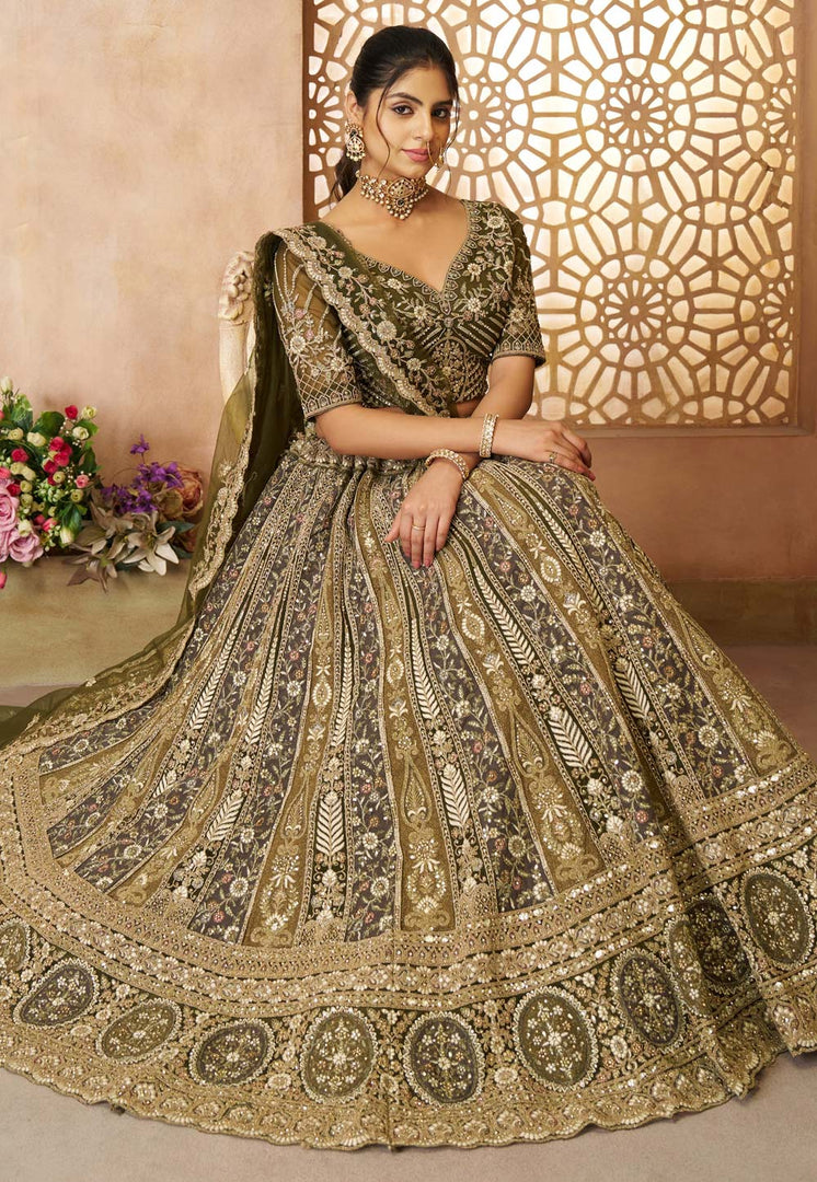 Mehndi Net Circular Lehenga Choli