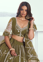 Load image into Gallery viewer, Mehndi Net Lehenga Choli
