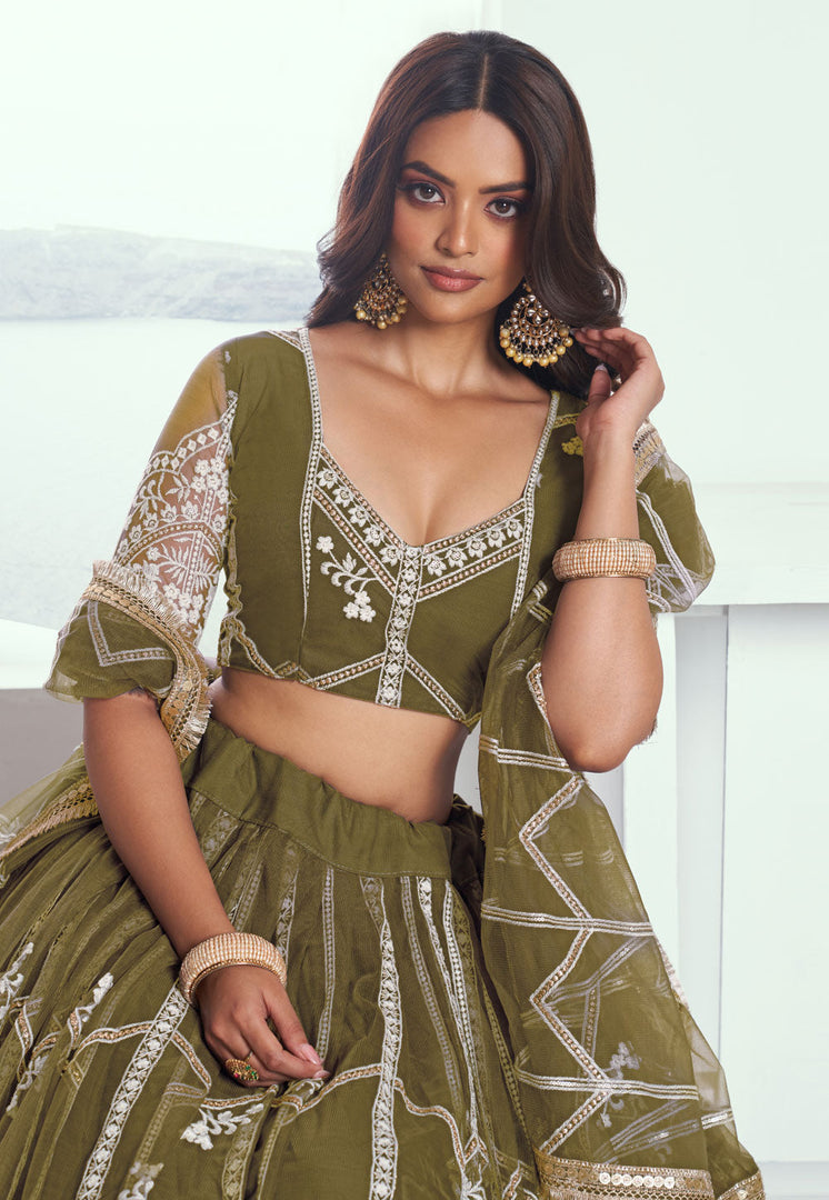 Mehndi Net Lehenga Choli