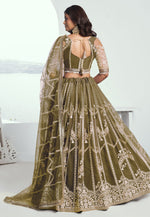 Load image into Gallery viewer, Mehndi Net Lehenga Choli
