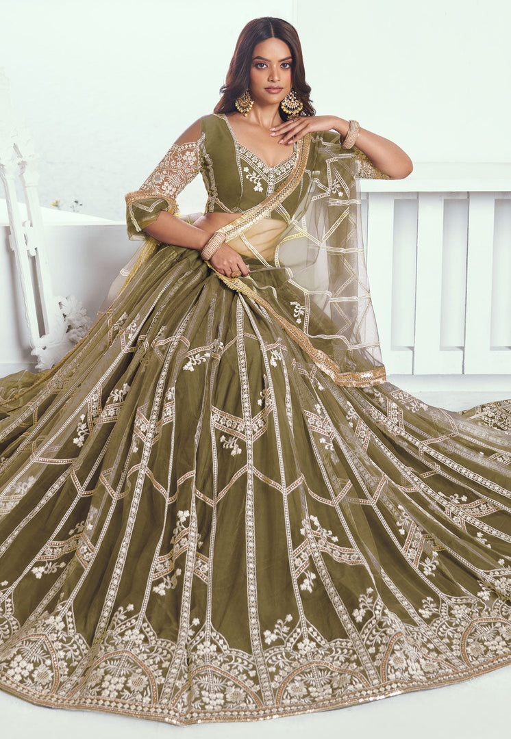 Mehndi Net Lehenga Choli