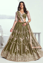 Load image into Gallery viewer, Mehndi Net Lehenga Choli
