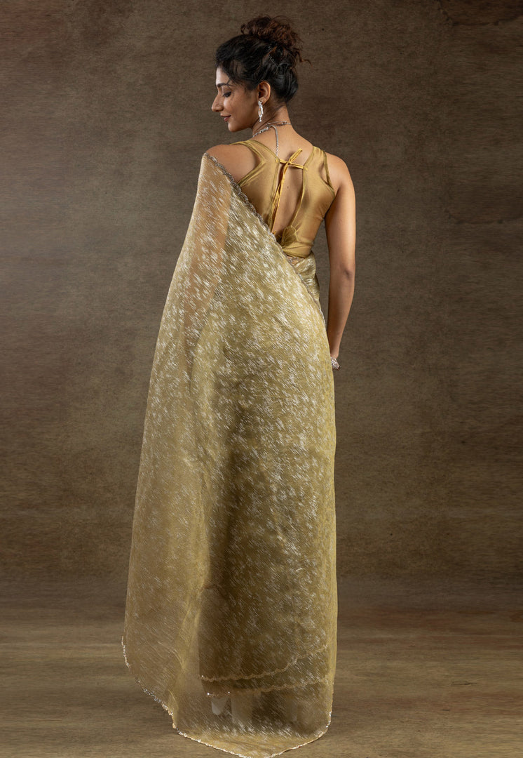 Mehndi Tissue Saree With Blouse