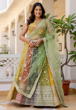 Load image into Gallery viewer, Multicolor Georgette Circular Lehenga Choli
