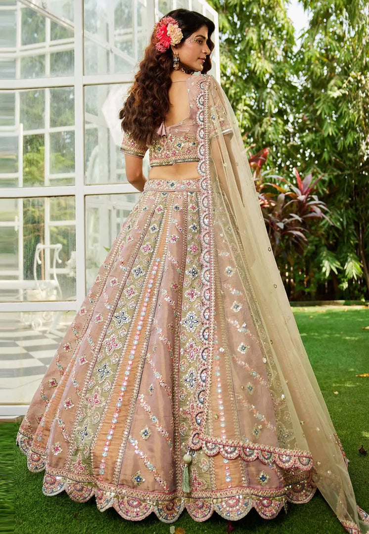 Multicolor Net Circular Lehenga Choli