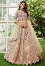 Load image into Gallery viewer, Multicolor Net Circular Lehenga Choli
