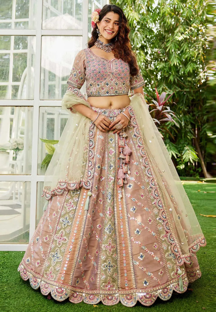 Multicolor Net Circular Lehenga Choli