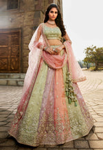Load image into Gallery viewer, Multicolor Tissue Circular Lehenga Choli
