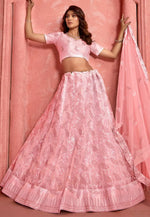 Load image into Gallery viewer, Peach Net A Line Lehenga Choli
