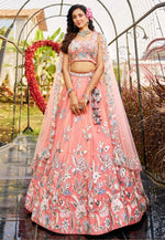 Load image into Gallery viewer, Peach Net A Line Lehenga Choli
