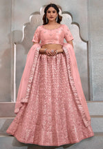 Load image into Gallery viewer, Peach Net Circular Lehenga Choli
