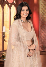 Load image into Gallery viewer, Peach Net Circular Lehenga Choli
