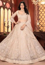 Load image into Gallery viewer, Peach Net Circular Lehenga Choli
