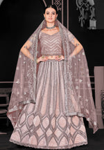 Load image into Gallery viewer, Peach Net Lehenga Choli
