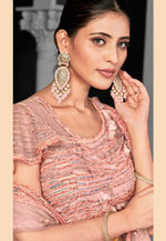 Load image into Gallery viewer, Peach Net Lehenga Choli

