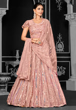 Load image into Gallery viewer, Peach Net Lehenga Choli
