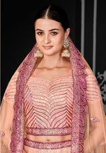 Load image into Gallery viewer, Peach Net Lehenga Choli
