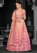 Load image into Gallery viewer, Peach Net Lehenga Choli

