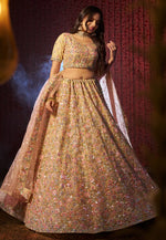Load image into Gallery viewer, Peach Net Lehenga Choli For Wedding
