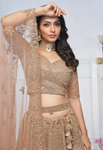 Load image into Gallery viewer, Peach Net Lehenga Choli For Wedding
