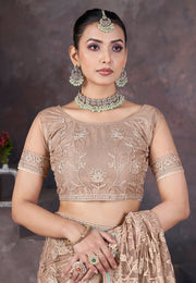 Peach Net Saree With Blouse