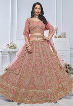 Load image into Gallery viewer, Pink Net Lehenga Choli For Wedding
