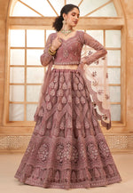 Load image into Gallery viewer, Pink Silk Net Circular Lehenga Choli

