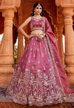 Load image into Gallery viewer, Pink Tissue Circular Lehenga Choli
