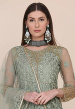 Load image into Gallery viewer, Pista Green Net Anarkali Suit
