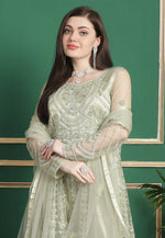 Load image into Gallery viewer, Pista Green Net Embroidered Anarkali Suit
