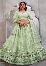Load image into Gallery viewer, Pista Green Net Lehenga Choli
