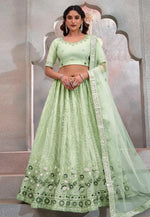 Load image into Gallery viewer, Pista Green Net Lehenga Choli
