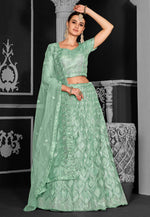 Load image into Gallery viewer, Pista Green Net Lehenga Choli
