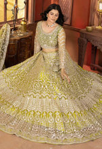 Load image into Gallery viewer, Pista Green Net Lehenga Choli

