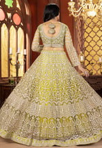 Load image into Gallery viewer, Pista Green Net Lehenga Choli

