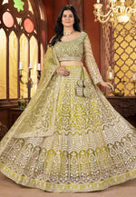 Load image into Gallery viewer, Pista Green Net Lehenga Choli
