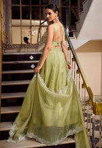 Load image into Gallery viewer, Pista Green Silk Lehenga Choli
