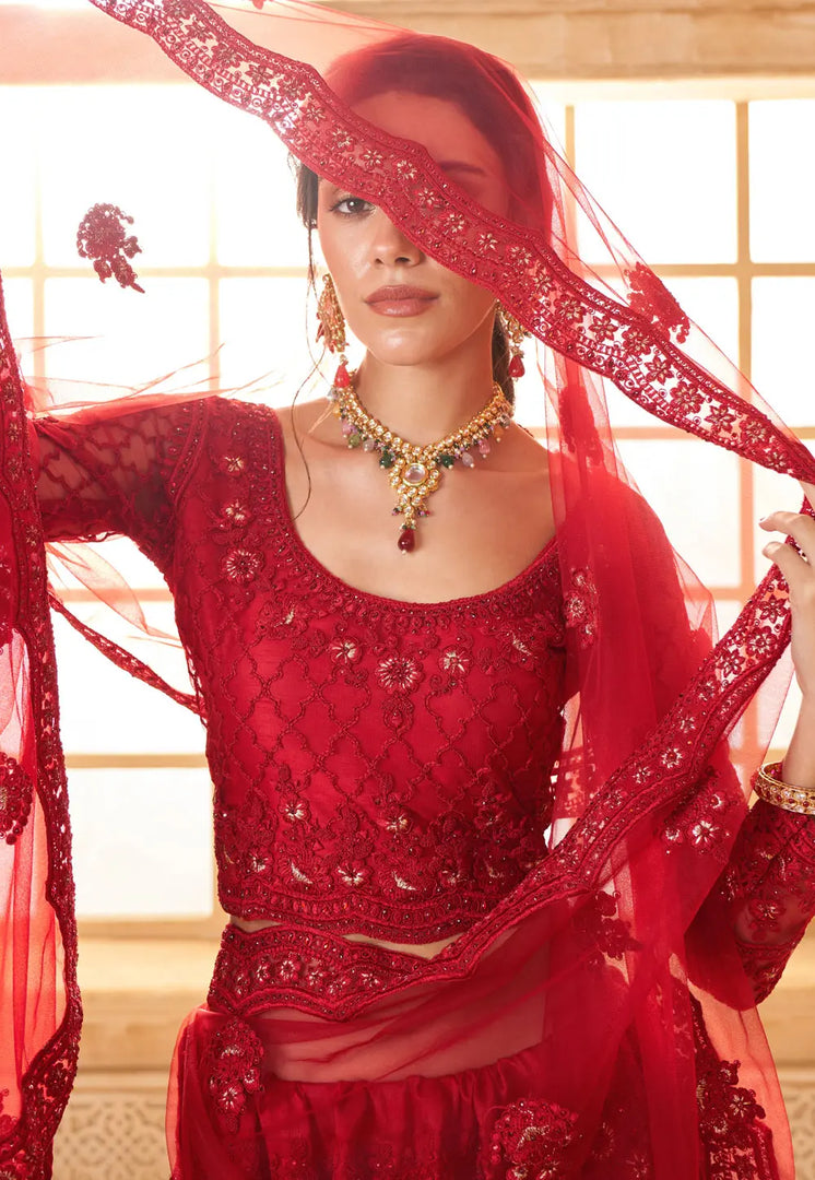 Red Silk Net Wedding Lehenga Choli