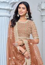 Load image into Gallery viewer, Rust Net Lehenga Choli
