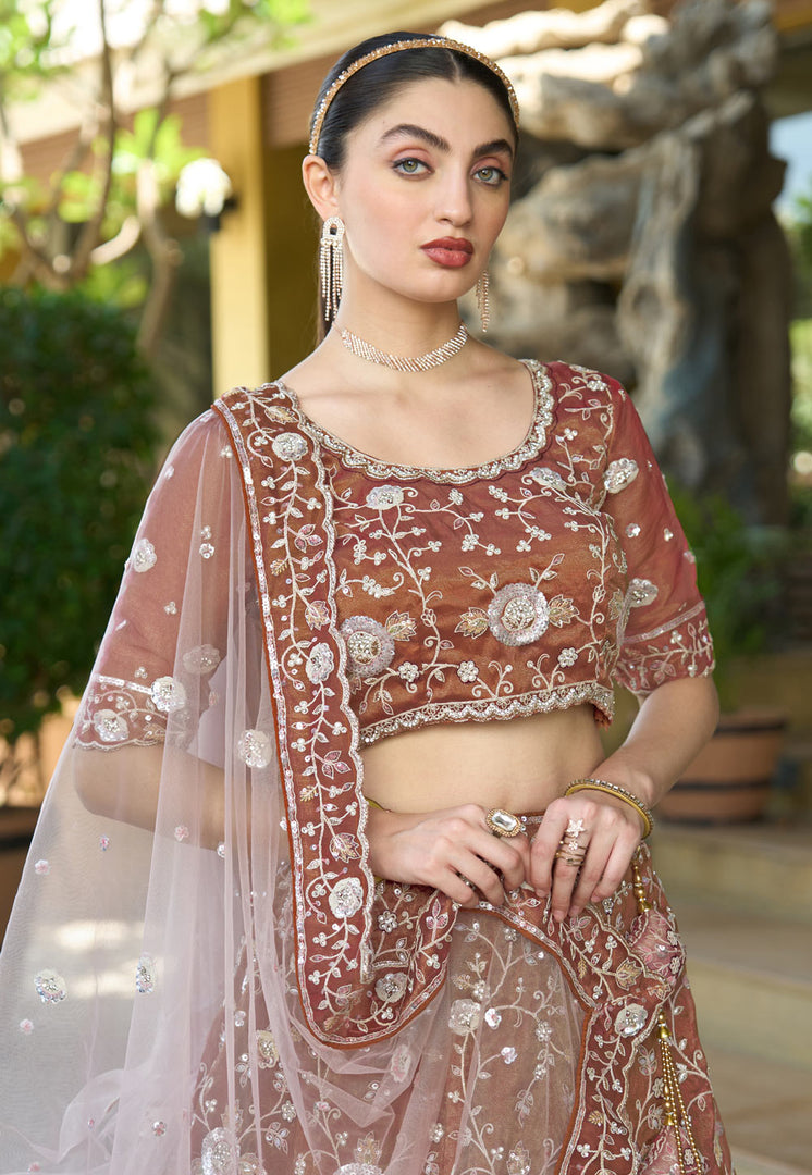 Rust Tissue A Line Lehenga Choli