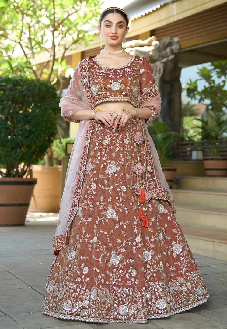 Rust Tissue A Line Lehenga Choli
